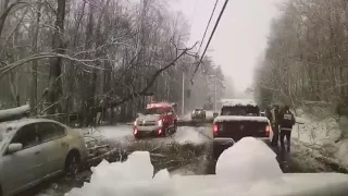Tree falls on power lines in storm, narrowly missing man below