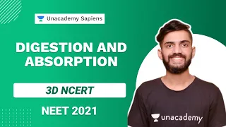 3D NCERT: Digestion and Absorption Part 2 | Biology | NEET 2021 | Anmol Sharma | Unacademy Sapiens