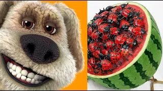 Ben react - Stop Motion Cooking Make beetle mukbang salad from watermelon ASMR Cooking Funny Videos