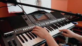 Davido- Beata z Albatrosa(cover) Yamaha PSR S-770