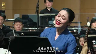 声乐交响套曲《大地之歌》Das Lied von der Erde (The Song of the Earth)    第四乐章咏美人4th Movement: Von der Schönheit