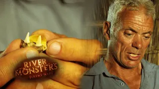 Tooth Of Local Mystery Killer | SPECIAL EPISODE | River Monsters