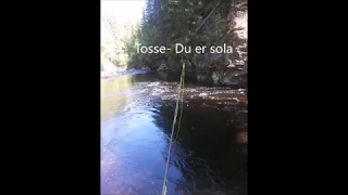 Tosse  Du er sola