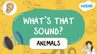 🐈🔊👂 What's That Sound? Animal Sounds for Kids | Twinkl USA