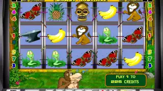 игровой автомат Crazy Monkey. игровой слот Crazy Monkey