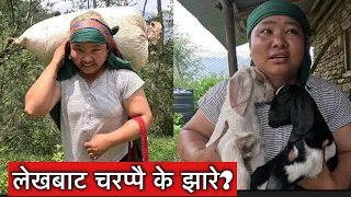 उकालो गए कोसेली आईहाल्छ😁 भारी बोक्न खत्रै हो का! Village lifeSusmita Gharti