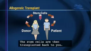 Bone Marrow Transplant Patient Information: Chapter 2 - Bone Marrow Transplants