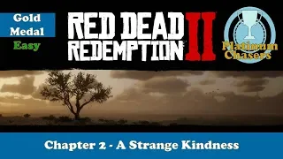 A Strange Kindness - Gold Medal Guide - Red Dead Redemption 2