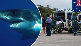 Shark attack: Teenage surfer dies after mauled by shark in Australia - TomoNews