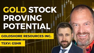 Is Now the Time to Buy This Gold Stock? | Goldshore Resources Inc.