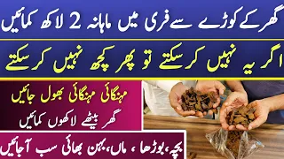 Small But Very Unique Business Idea in Pakistan|Asad Abbas chishti