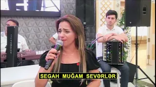 SEGAH MUGAM SEVİNC ABBASOVA / GİTARA ASİF AĞCABEDİLİ / TAMADA KAMAL / QARMON ELVİN