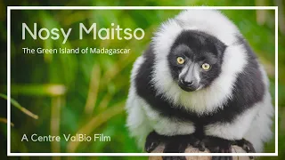 Nosy Maitso | The Green Island of Madagascar (2009 Film)
