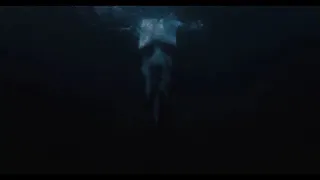 Weasel drowns suicide squad