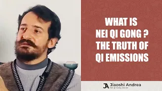 What is Nei Qi Gong? THE TRUTH Behind the Nei Gong Demonstrations of Shifu Zhou...