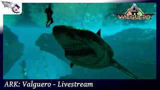 Megalodon Taming & Setting Up Electricity In The Base | LIVESTREAM | ARK: Valguero #7