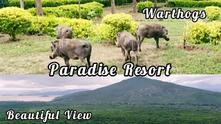 Paradise Resort| Beautiful Viewpoint| Arbaminch| Ethiopia| Africa