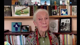 Jane Goodall | We Have a Window in Time