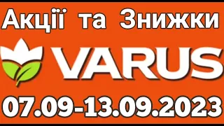 Акції VARUS з 07.09 по 13.09.2023 року #varus #анонсатб #знижкиатб #цінинапродукти #оглядцін