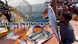 கூண்டு போட்டு மீன் எப்படி பிடிக்கிறாங்க Fishing Video In Fish Trap 4K