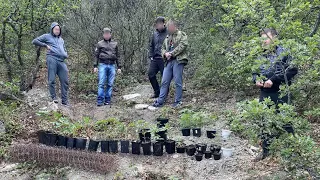 Потный НАРКОША со времён СССР шарился по лесу и раскидывал свои причиндалы.