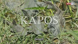 Front Row: Kapos (Full Episode with subtitles)