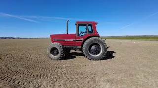 1984 IH 5288 Tractor, mfwd