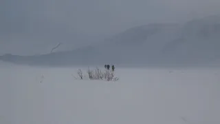 Озеро Падежаты зимой.