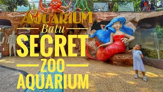 Dunia Aquarium l Batu Secret Zoo 🎉🐄🏞️🦘🐓