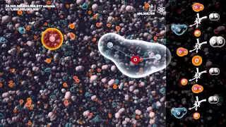 Simulation of Hydrogen burning under 100,000,000x microscope (2H2+O2=2H2O)
