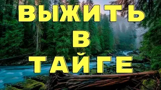 Дедушка Лес/ Истории таёжных охотников/ Охотничьи байки/ Страшные истории