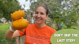 How to Save Cucumber Seeds (including an extra step most people skip!)