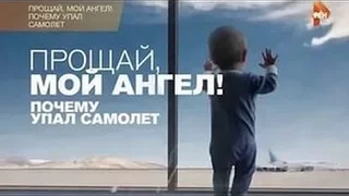 "Прощай, мой ангел!" Почему упал самолёт A321?