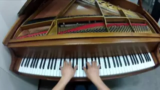 Minecraft - "Calm 1 - Minecraft" Played by Video Game Pianist