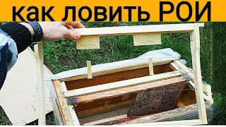 КАК ЛОВИТЬ РОИ. ПЧЕЛЫ БЕСПЛАТНО. КОМПЛЕКТАЦИЯ ЛОВУШКИ 🐝