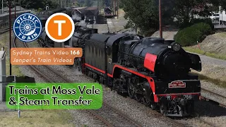 Sydney Trains Video 166 - Trains at Moss Vale