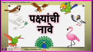 पक्ष्यांची नावे | Learn birds name in Marathi by Smart School | Birds name in Marathi and English