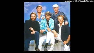 The Beach Boys-California Dreamin(1986)