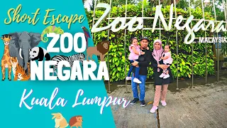 SHORT ESCAPE: ZOO NEGARA MALAYSIA (FULL TOUR)