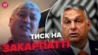 🔴Угорщина змінить скандальний підручник? / орбанівська пропаганда на Закарпатті – ТОМПА