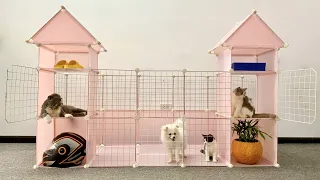 DIY Pomeranian Dog Dream House Ideas - How To Building Cat Home - Funny Dog Videos - Mr Pet Family