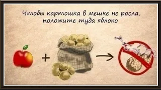 How to store products   |   Как правильно хранить продукты.