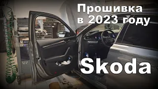 Skoda A8: Прошивка Блоков Реальна в 2023 году? Как всё проходит? (2023)