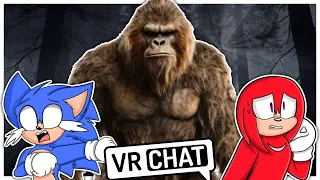Movie Sonic and Movie Knuckles Meet Bigfoot In VRCHAT!!