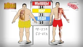 Как точно определить состав своего тела (ЖИР, ВОДА ИЛИ МЫШЦЫ)?