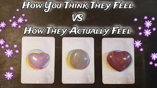 🦢💕 How You Think They Feel VS. How They Actually Feel Towards You 🦢💕 🌟 Pick A Card Love Reading