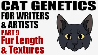 Cat Genetics for Writers & Artists part 9: Fur Length & Textures [CC]