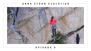 EVOLUTION | Anna Stöhr | Arbeitsplatz