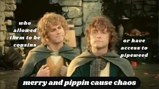 i edited some clips of merry and pippin. i am sorry.