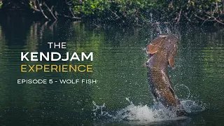 The Kendjam Experience Wolf Fish (Episode 5)
